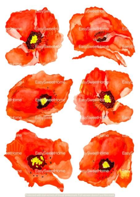 Orange Poppy Wall Decals, Home D??cor, Kitchen Hand-Painted Decals For Walls, Tiles & Furniture, Flower By Easysweethome - image 1