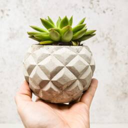 3D Pineapple Shaped Plant Pot - thumbnail 2