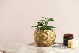 3D Pineapple Shaped Plant Pot