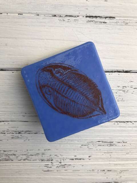 Trilobite Vintage Illustration Kiln-Fired Small Night Light On Periwinkle Glass - image 1