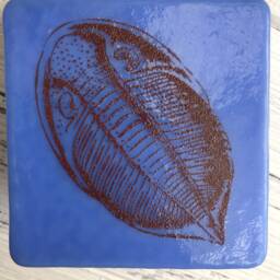 Trilobite Vintage Illustration Kiln-Fired Small Night Light On Periwinkle Glass - thumbnail 2