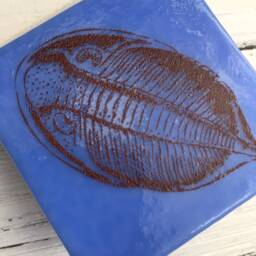 Trilobite Vintage Illustration Kiln-Fired Small Night Light On Periwinkle Glass - thumbnail 3