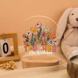 Personalized Teacher Night Light Gift, Thank You Gift For Appreciation Gift, Teacher Desk Lamp, Home Decor, End Of Year