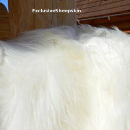 Icelandic White Genuine Sheepskin Lambskin Lvory, Schaffell, Hygge - thumbnail 3