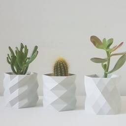 Set Of 3 Indoor Planters For Cacti & Fresh Herbs - thumbnail 1