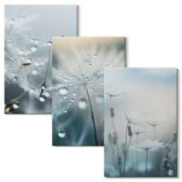 Canvas Set Of 3 - Dewdrops On Delicate Dandelions, Blue Wall Art Canvas, Plants & Flowers Hanging Piece - thumbnail 2