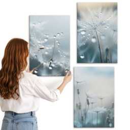 Canvas Set Of 3 - Dewdrops On Delicate Dandelions, Blue Wall Art Canvas, Plants & Flowers Hanging Piece - thumbnail 1