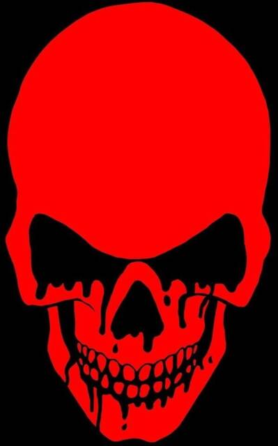 Blood Bloody Skull Decal Car Bonnet Side Sticker Van Vinyl Graphic Sign Wall Art Door Motorhome Campervan Racing Rally Stock