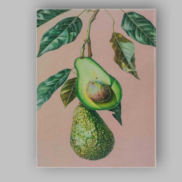 Botanical Avocado Fruit Branch Illustration Canvas Wall Art Print Decor Picture Ready To Hang - image 1