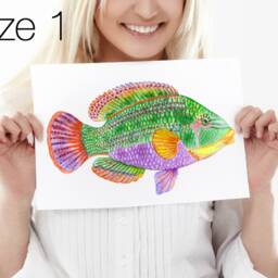 Wall Decal Big Tropical Fish - Beach/Ocean Theme Bedroom Bathroom Decals Tile Stickers Furniture By Easysweethome - thumbnail 3