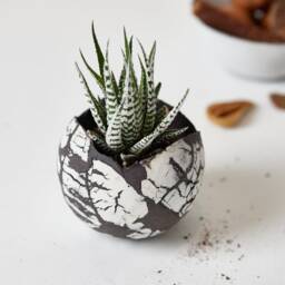 Round Unique Set Of 3 Planter Pots, Black & White Ceramic Decorative Indoor Or Outdoor Planters - thumbnail 2