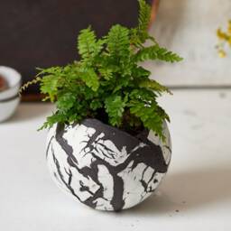 Round Unique Set Of 3 Planter Pots, Black & White Ceramic Decorative Indoor Or Outdoor Planters - thumbnail 3
