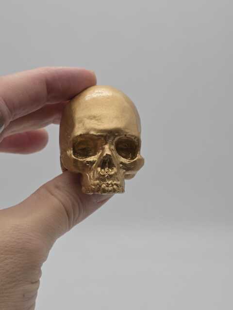 Gold Effect Solid Tiny Human Half Skull Ornament. Small Replica Plaster Of Paris Skull - image 1