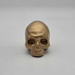 Gold Effect Solid Tiny Human Half Skull Ornament. Small Replica Plaster Of Paris Skull - thumbnail 4