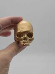 Gold Effect Solid Tiny Human Half Skull Ornament. Small Replica Plaster Of Paris Skull - thumbnail 1