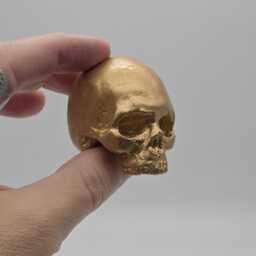 Gold Effect Solid Tiny Human Half Skull Ornament. Small Replica Plaster Of Paris Skull - thumbnail 3