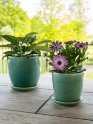 Sea Green Plant Pot With Attached Saucer, Indoor Outdoor Planter, Drainage Hole, - D14-D20cm - thumbnail 2