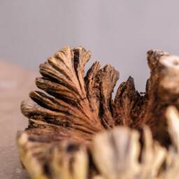 Bird On The Nest Sculpture, Wooden Canary, Egg, Wood Carving, Housewarming, Nature, Figurine, Tabletop Decor, Home Table Mother Gift - thumbnail 4