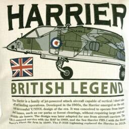 British Aerospace Harrier Gr Royal Air Force Fighter Bomber Military Aircraft Design Cushion Inner Included - thumbnail 2