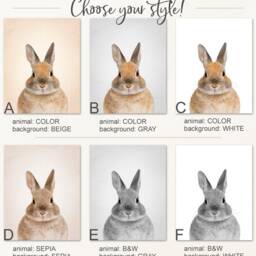 Safari Animal Nursery Prints Baby Jungle Animals Art, Set Of 6 - thumbnail 3