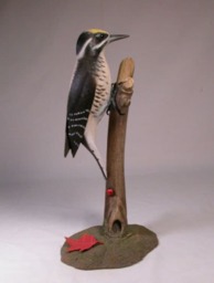 Three-Toed Woodpecker Hand Carved Wooden Bird - thumbnail 1