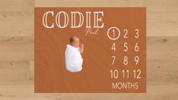 Gender Neutral Baby Milestone Blanket Personalized Monthly Custom Shower Gift For New Mom Keepsake One Year