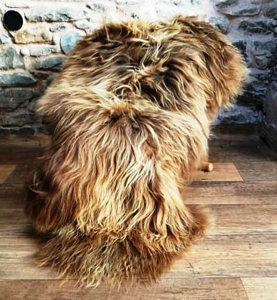 Highland Cow Rug Icelandic Sheepskin Long Haired Throw Longwool Christmas Sheepskins Elf Kendal Hippies - image 1