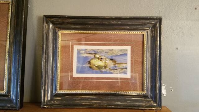 Frog Soaking in Water Framed Print - image 1
