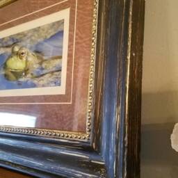 Frog Soaking in Water Framed Print - thumbnail 2