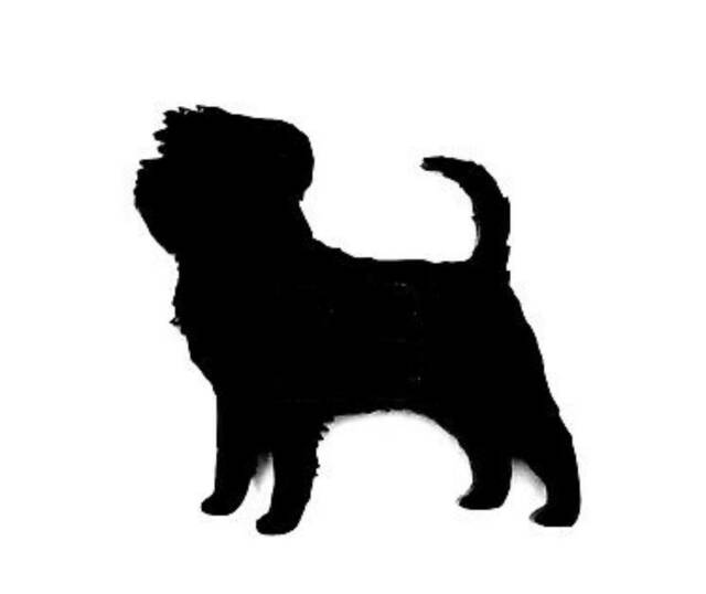 Affenpinscher Dog Wall Art Kennel Plaque Sign in Black Acrylic