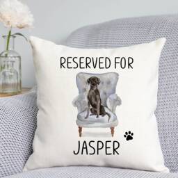 Labrador Cushion