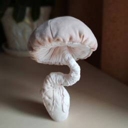 Textile Mushroom Sculpture Fiber Art Home Decor - thumbnail 2