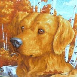 Cushions Dogs, Retriever Cushion, Gift For Dog Lover, Christmas Idea, Golden Handmade Cushions, Birthday - thumbnail 2
