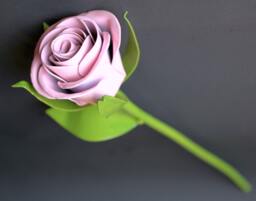 It's A Girl, New Baby, Baby Girl, Congratulations, Shower, Pink Rose, Not A Toy