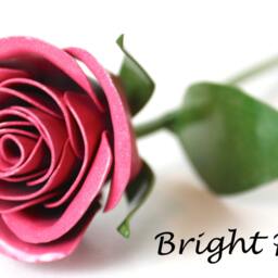 It's A Girl, New Baby, Baby Girl, Congratulations, Shower, Pink Rose, Not A Toy - thumbnail 3