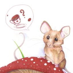 Tea House Mouse - 8x10 Or 11x14 Print Cute Animals Art - thumbnail 2