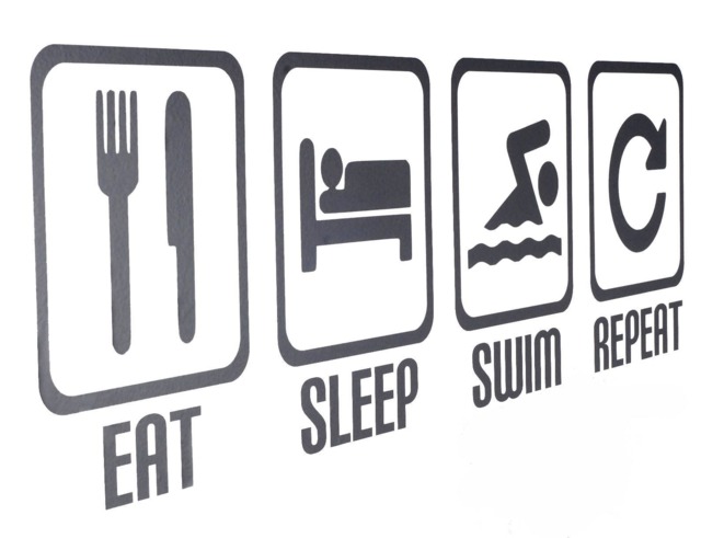 Eat Sleep Swim Repeat Vinyl Wall Art Decals/stickers - Various Colours - image 1