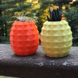 Pineapple Planter Air Plant, Succulent Holder, Minimalist - thumbnail 3