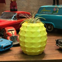 Pineapple Planter Air Plant, Succulent Holder, Minimalist - thumbnail 4