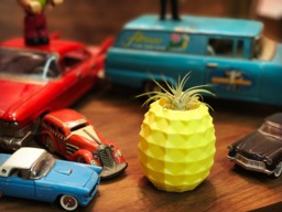 Pineapple Planter Air Plant, Succulent Holder, Minimalist - thumbnail 1