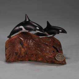 Orca Killer Whale Duo By John Perry 4In Long Sculpture On Polished Burlwood Base. Signed - thumbnail 4