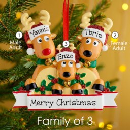 Personalised Family Christmas Xmas Tree Decoration Ornament - Reindeer New - thumbnail 3