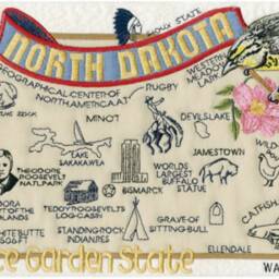 North Dakota State Pillow With Feather Insert - thumbnail 2