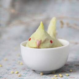 Miniature Cockatiel Figurine Sleep in Teacup. Handmade Resin Art Cup. Cockatiel Sculpture Statue Totem Figure - thumbnail 3