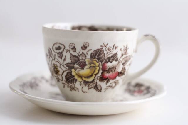 Salisbury Alfred Meakin Tea Cup & Saucer/ Hand Engraved Pattern/Floral Design - image 1