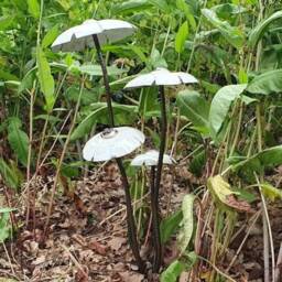 Recycled Metal White Mushroom Garden Sculpture Set - Rustic Outdoor Decoration - thumbnail 2