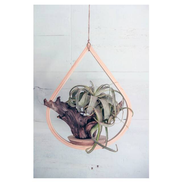 Small Wooden Plant Hanger, Tear Drop Indoor Planter With Saucer, Air Boho, Mid Century Modern - image 1