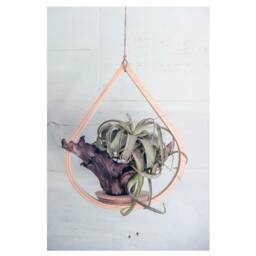 Small Wooden Plant Hanger, Tear Drop Indoor Planter With Saucer, Air Boho, Mid Century Modern