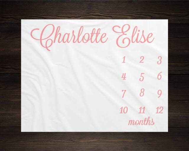 Baby Girl Milestone Blanket Month Growth Tracker Minky Fleece Custom Personalized Shower Gift Newborn - image 1