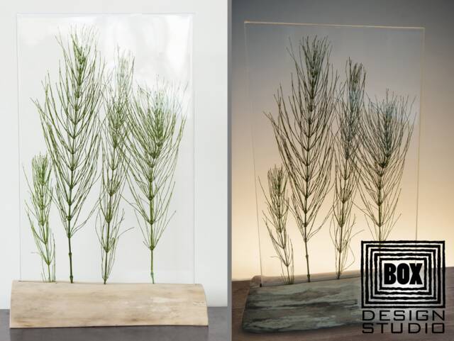 Table Lamp With Dried Horsetail Contemporary Modern Scandinavian Accent Lamp, Rustic Lamps For Tables, Night Light Nursery - image 1